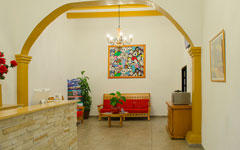 meson de Carolina